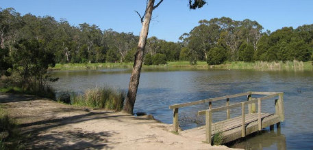 Belgrave information