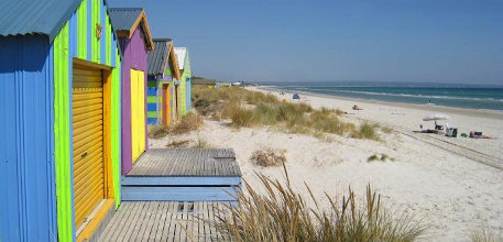 Information about Chelsea Chelsea information