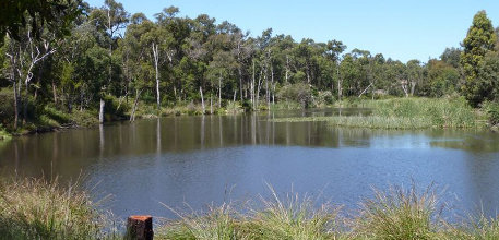 Information about Croydon Croydon information