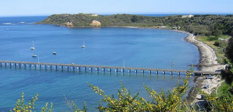 Flinders information