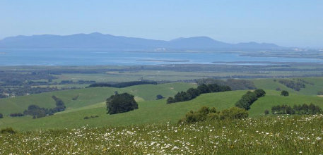 Information about Foster Foster information