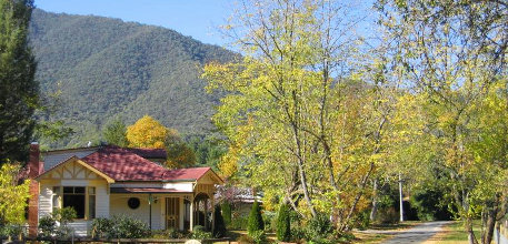 Harrietville information