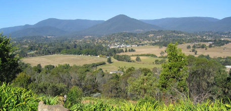 Healesville information