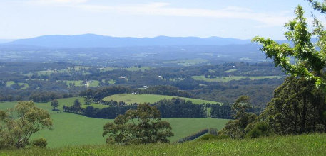 Kallista information