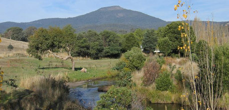 Merrijig information