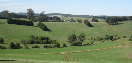 Neerim South information