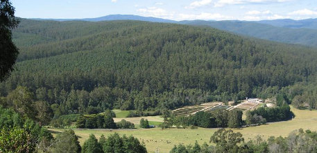 Information about Noojee Noojee information