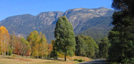 Porepunkah information