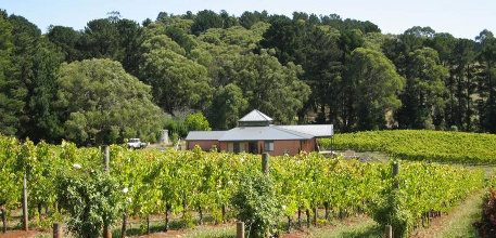 Red Hill information