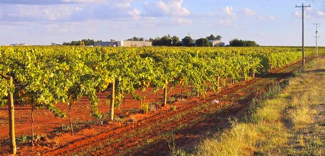 Robinvale information