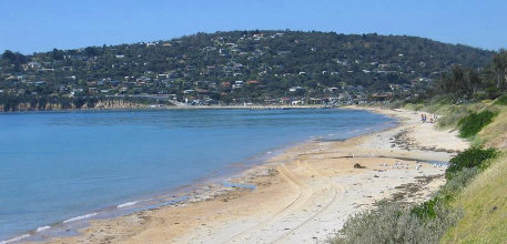 Safety Beach information