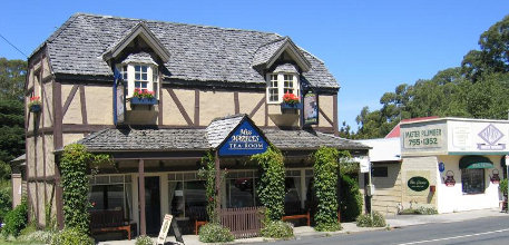 Sassafras information