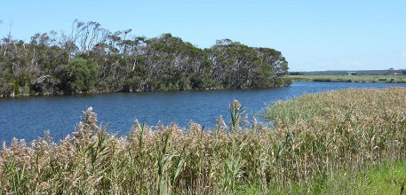 Information about Seaspray Seaspray information