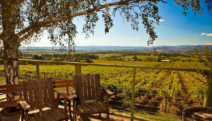 Yarra Valley & Dandenong Ranges